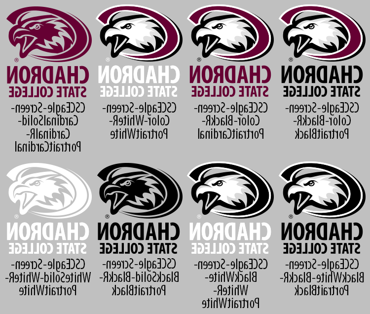 CSC Eagle Logo, portrait style, specimen chart.